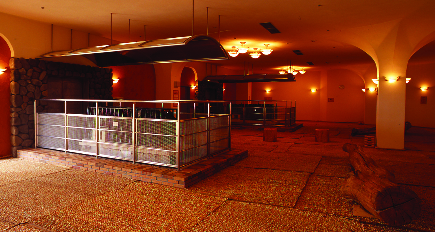 天然温泉 大垣コロナの湯3