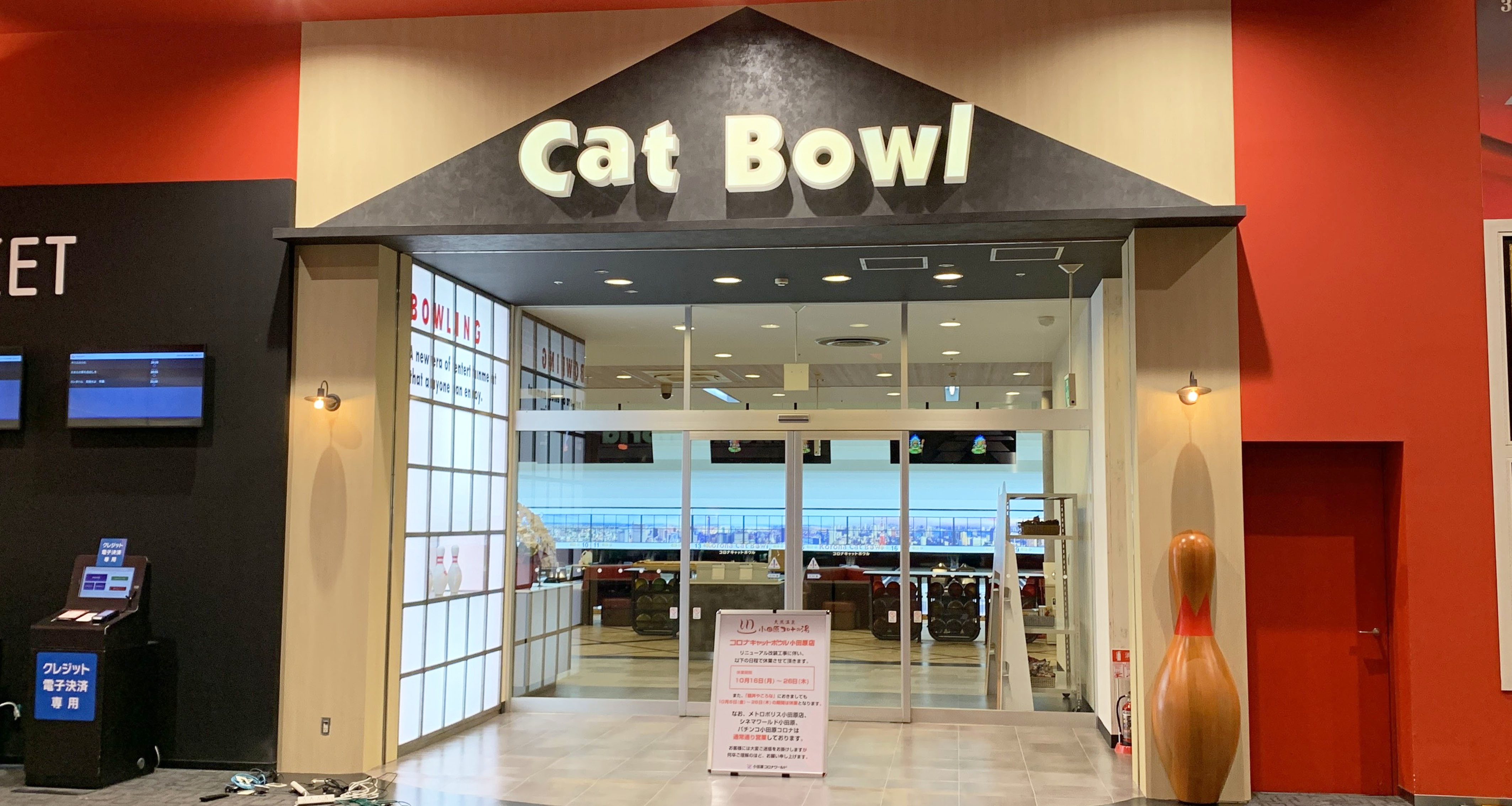 コロナキャットボウル小田原店5